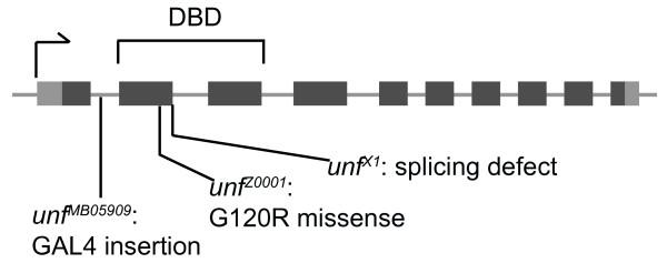 https://cdn.ncbi.nlm.nih.gov/pmc/blobs/21b2/2829026/ce68e26590cd/1749-8104-5-4-2.jpg