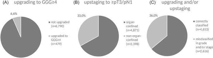 https://cdn.ncbi.nlm.nih.gov/pmc/blobs/21b2/9325037/0e62c9b98ef8/PROS-82-1040-g002.jpg