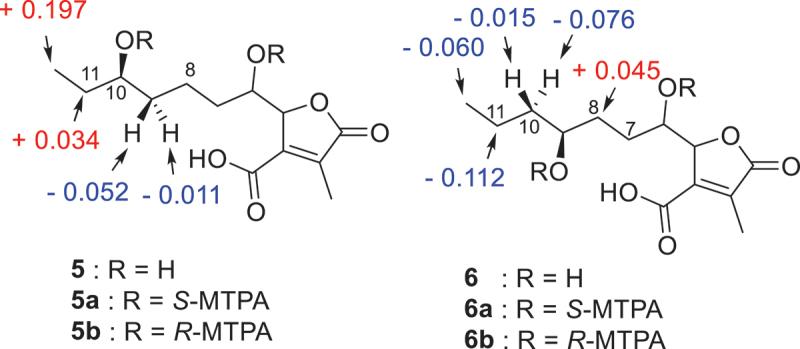 https://cdn.ncbi.nlm.nih.gov/pmc/blobs/21b3/12096673/3e6ebb39dfad/TMYC_A_2397600_F0006_OC.jpg