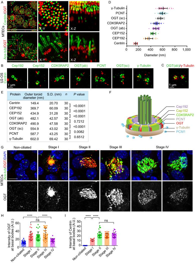 https://cdn.ncbi.nlm.nih.gov/pmc/blobs/21b4/7647980/03d3f111a200/13238_2020_746_Fig2_HTML.jpg