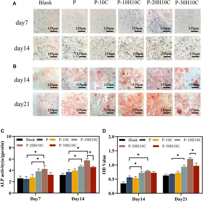 https://cdn.ncbi.nlm.nih.gov/pmc/blobs/21b7/10850574/24d7e15b56ea/fbioe-12-1343294-g006.jpg