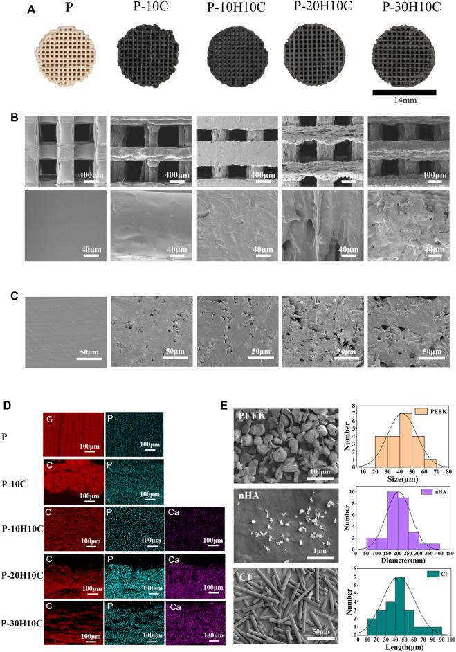 https://cdn.ncbi.nlm.nih.gov/pmc/blobs/21b7/10850574/5a19faec8610/fbioe-12-1343294-g002.jpg