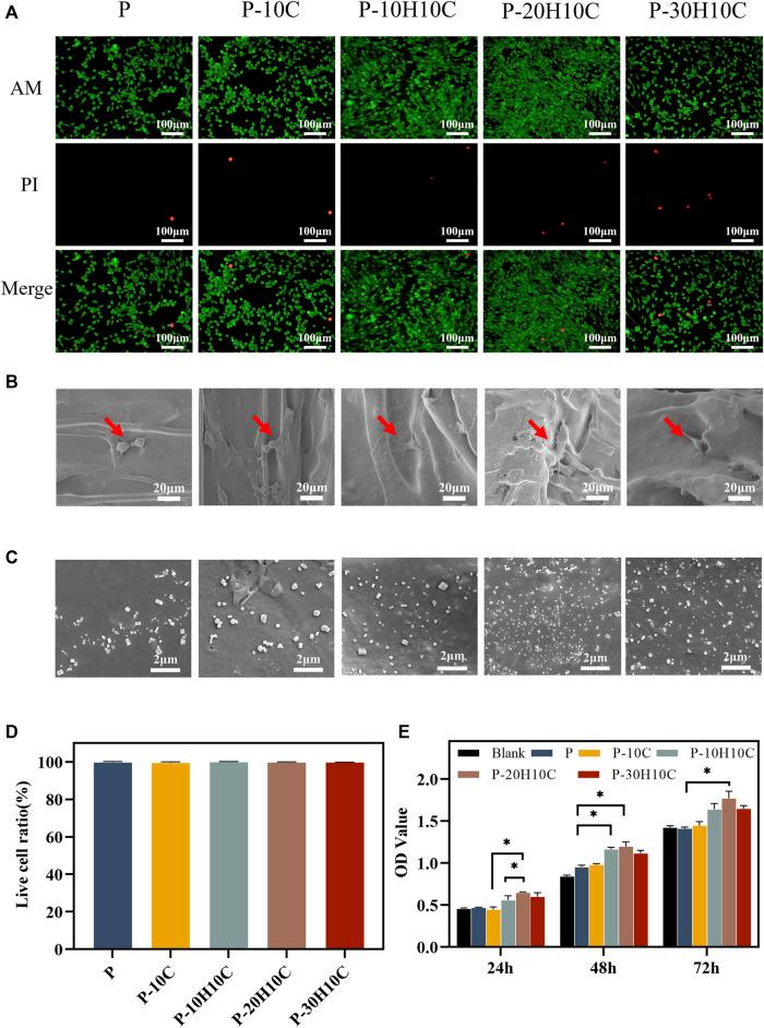 https://cdn.ncbi.nlm.nih.gov/pmc/blobs/21b7/10850574/5cdd9f4a50ea/fbioe-12-1343294-g005.jpg