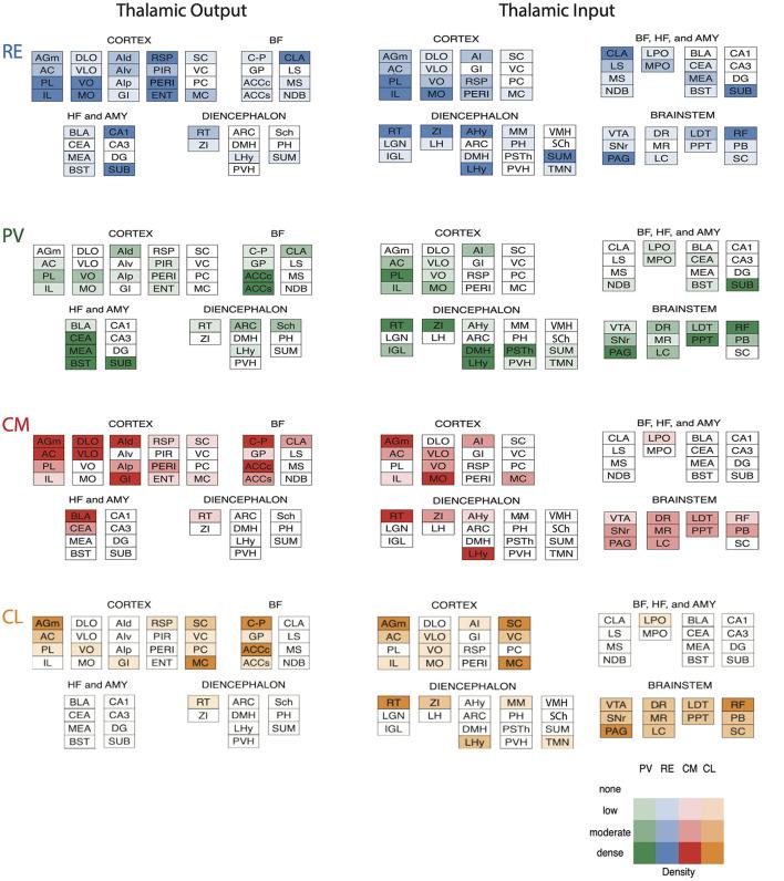 https://cdn.ncbi.nlm.nih.gov/pmc/blobs/21b7/9445584/b7a44499232b/fnbeh-16-964644-g0009.jpg