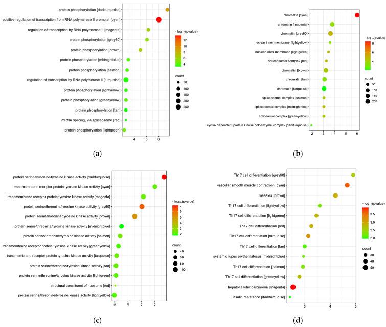 https://cdn.ncbi.nlm.nih.gov/pmc/blobs/21b9/11049615/25d3d5ecfd74/genes-15-00393-g006.jpg