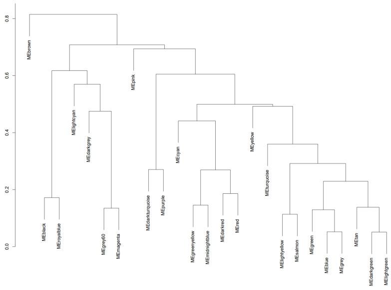 https://cdn.ncbi.nlm.nih.gov/pmc/blobs/21b9/11049615/a2a1aa45235d/genes-15-00393-g004.jpg