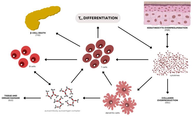https://cdn.ncbi.nlm.nih.gov/pmc/blobs/21b9/11049615/a37e6a84c928/genes-15-00393-g008.jpg