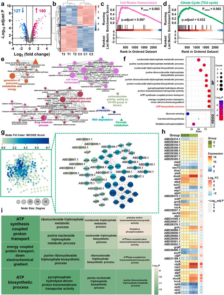 https://cdn.ncbi.nlm.nih.gov/pmc/blobs/21b9/12269415/d3b8896f6b61/gr5.jpg