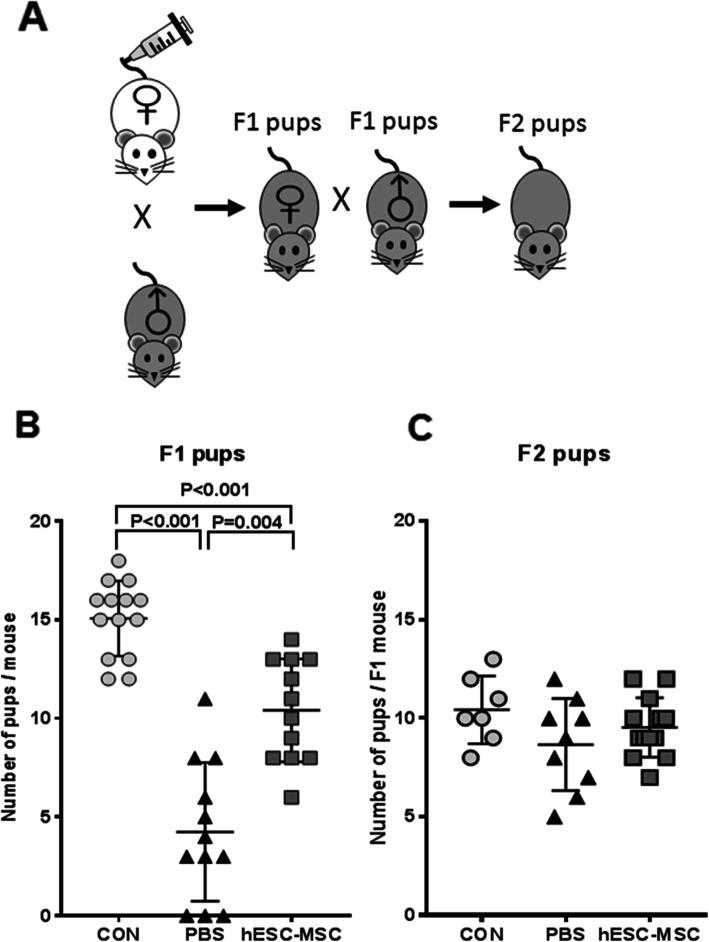 https://cdn.ncbi.nlm.nih.gov/pmc/blobs/21bb/7318510/0af883c5627f/13287_2020_1769_Fig7_HTML.jpg