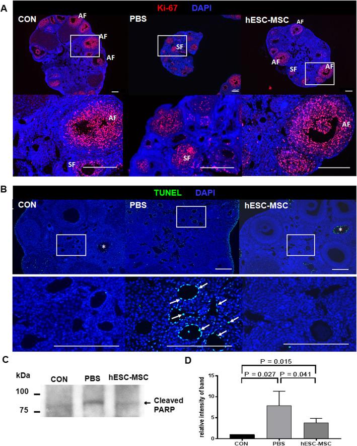https://cdn.ncbi.nlm.nih.gov/pmc/blobs/21bb/7318510/aaab4fa5614e/13287_2020_1769_Fig5_HTML.jpg