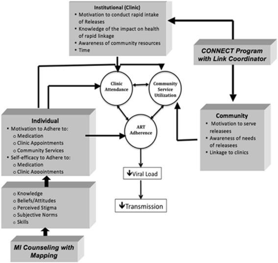 https://cdn.ncbi.nlm.nih.gov/pmc/blobs/21be/5011897/a33a0103c07a/12889_2016_3511_Fig2_HTML.jpg