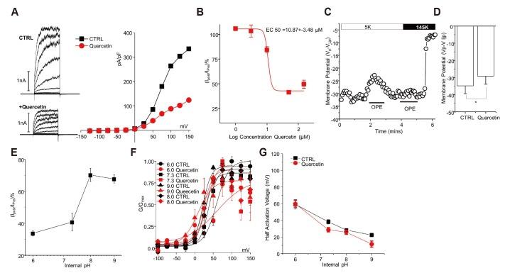 https://cdn.ncbi.nlm.nih.gov/pmc/blobs/21be/6717788/81019245cfef/kjpp-23-381-g002.jpg