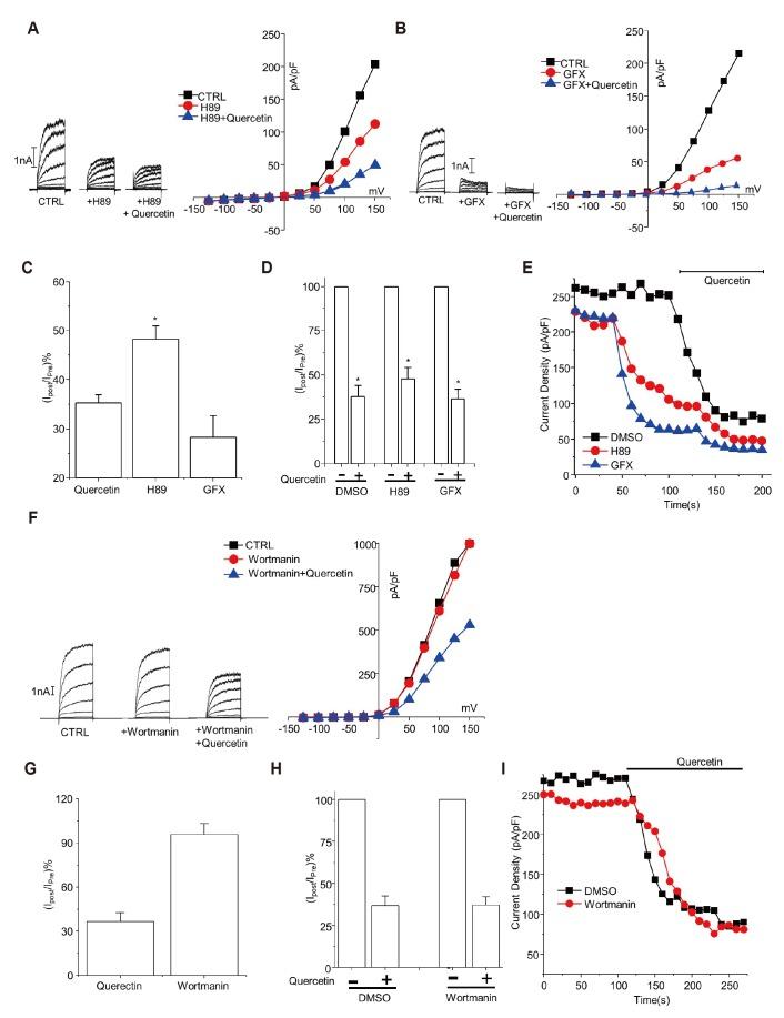 https://cdn.ncbi.nlm.nih.gov/pmc/blobs/21be/6717788/972e8797411b/kjpp-23-381-g005.jpg