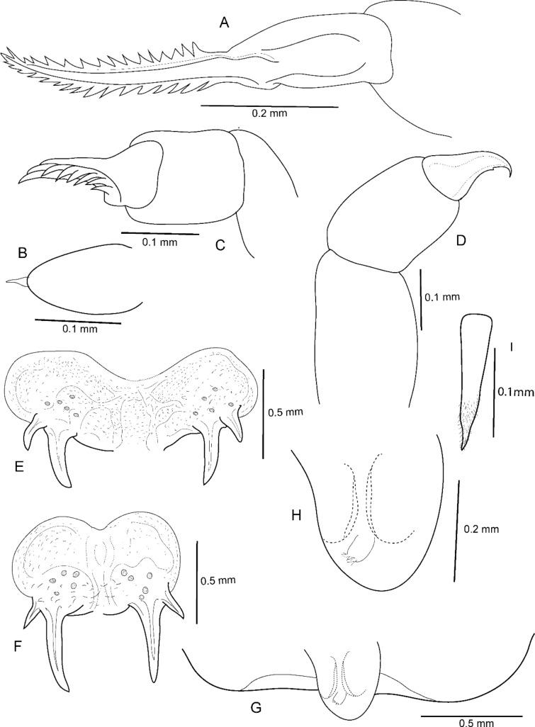 https://cdn.ncbi.nlm.nih.gov/pmc/blobs/21c0/11001686/cf3431905e78/11686_2024_820_Fig10_HTML.jpg