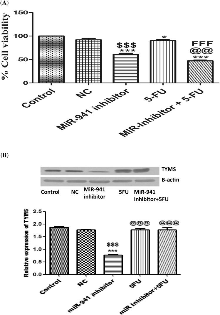 https://cdn.ncbi.nlm.nih.gov/pmc/blobs/21c0/7578795/648b8250806f/41598_2020_74847_Fig5_HTML.jpg