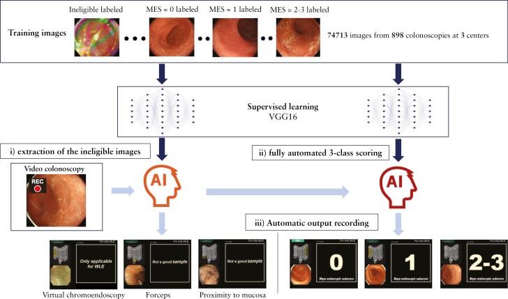https://cdn.ncbi.nlm.nih.gov/pmc/blobs/21c1/11725525/63684905db6b/jjae080_fig1.jpg