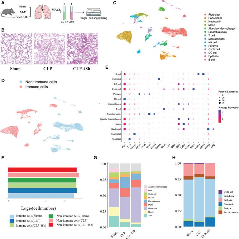 https://cdn.ncbi.nlm.nih.gov/pmc/blobs/21c1/9666384/97888aa3c0a0/fimmu-13-981784-g001.jpg