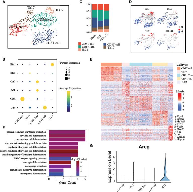 https://cdn.ncbi.nlm.nih.gov/pmc/blobs/21c1/9666384/9c40c8bdf84d/fimmu-13-981784-g004.jpg