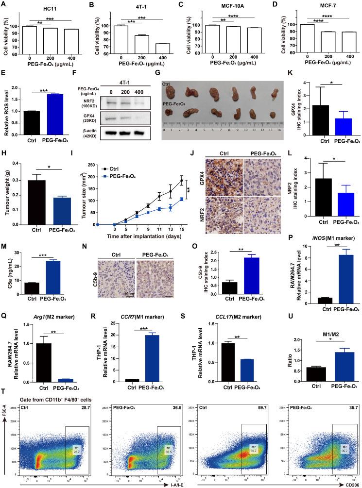 https://cdn.ncbi.nlm.nih.gov/pmc/blobs/21c2/11524822/53b882a2b0b8/fimmu-15-1466180-g004.jpg