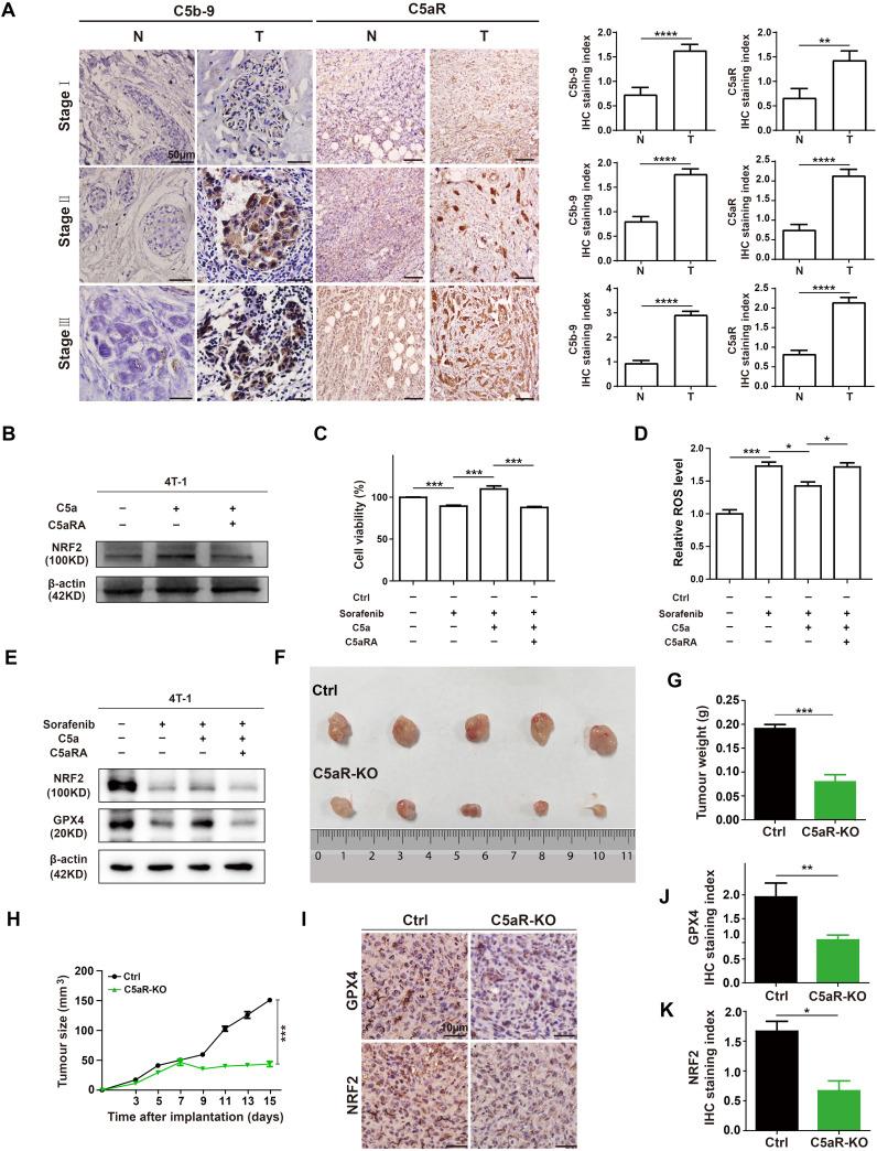 https://cdn.ncbi.nlm.nih.gov/pmc/blobs/21c2/11524822/e4734149b826/fimmu-15-1466180-g002.jpg