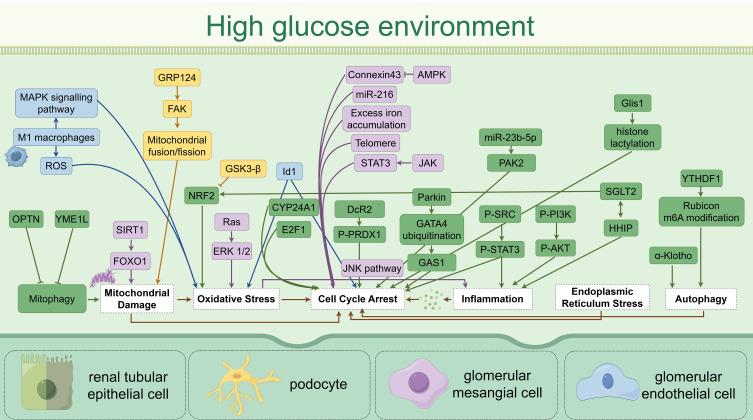 https://cdn.ncbi.nlm.nih.gov/pmc/blobs/21c2/12428652/eb28fd0f6893/DMSO-18-3323-g0002.jpg