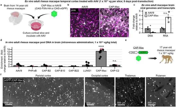 https://cdn.ncbi.nlm.nih.gov/pmc/blobs/21c4/9928057/7ea6c6e18e6f/nihpp-rs1370972v1-f0006.jpg