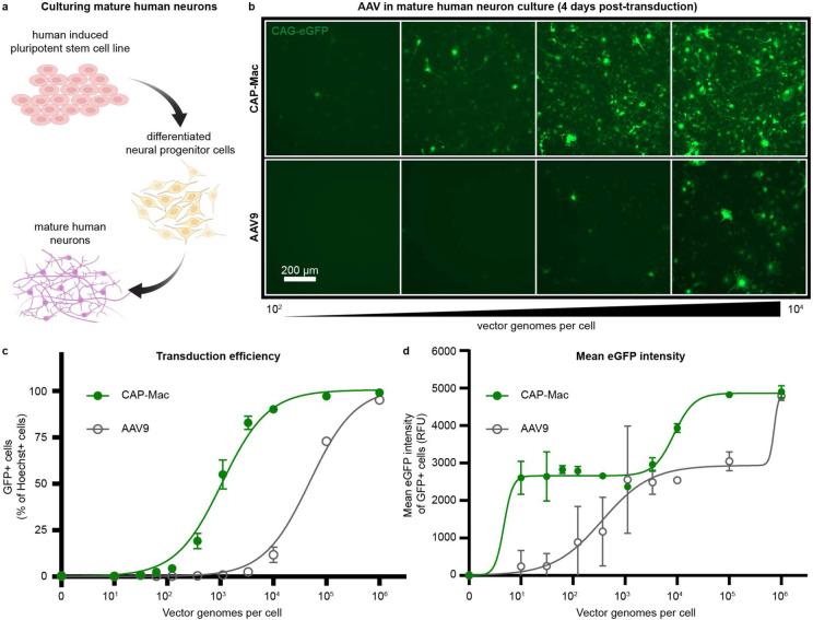 https://cdn.ncbi.nlm.nih.gov/pmc/blobs/21c4/9928057/9ed2cd26d9db/nihpp-rs1370972v1-f0005.jpg