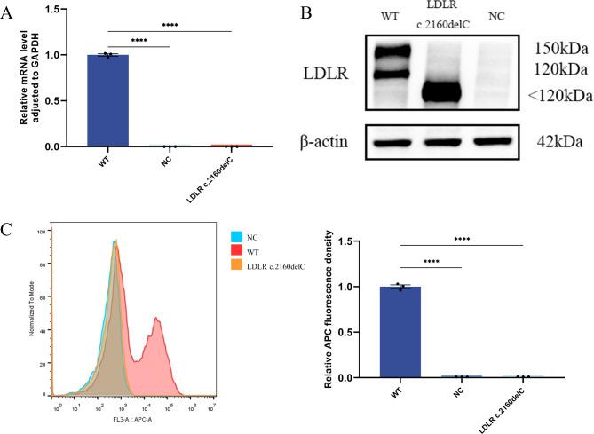https://cdn.ncbi.nlm.nih.gov/pmc/blobs/21c8/10280840/212b16823a10/12944_2023_1848_Fig3_HTML.jpg
