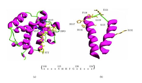 https://cdn.ncbi.nlm.nih.gov/pmc/blobs/21c9/3312295/0cc942039dd5/IJPEP2012-782019.001.jpg