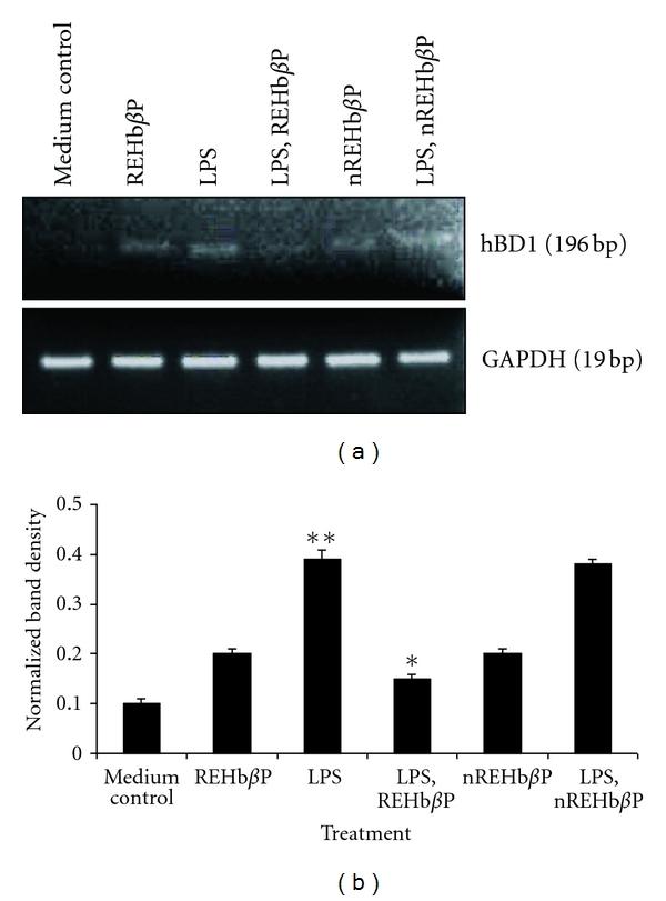 https://cdn.ncbi.nlm.nih.gov/pmc/blobs/21c9/3312295/c0be6cc464db/IJPEP2012-782019.006.jpg