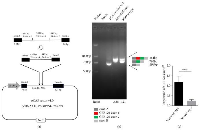 https://cdn.ncbi.nlm.nih.gov/pmc/blobs/21c9/6388357/43156a2a920d/BMRI2019-4678969.002.jpg
