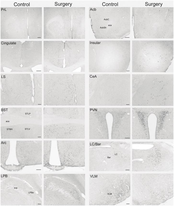 https://cdn.ncbi.nlm.nih.gov/pmc/blobs/21ca/4589401/3e7064a0588d/pone.0139325.g006.jpg