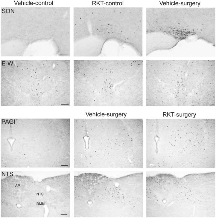 https://cdn.ncbi.nlm.nih.gov/pmc/blobs/21ca/4589401/6cc18a27456a/pone.0139325.g007.jpg
