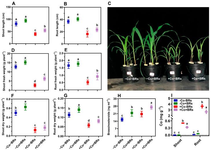 https://cdn.ncbi.nlm.nih.gov/pmc/blobs/21cb/12251991/24ea501e7474/plants-14-02076-g001.jpg