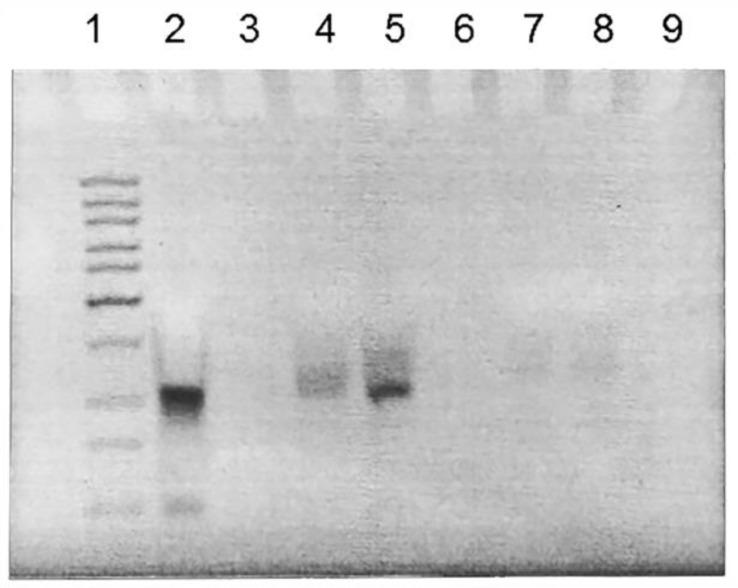 https://cdn.ncbi.nlm.nih.gov/pmc/blobs/21cd/10144622/d6c48caf9e9b/molecules-28-03318-g002.jpg