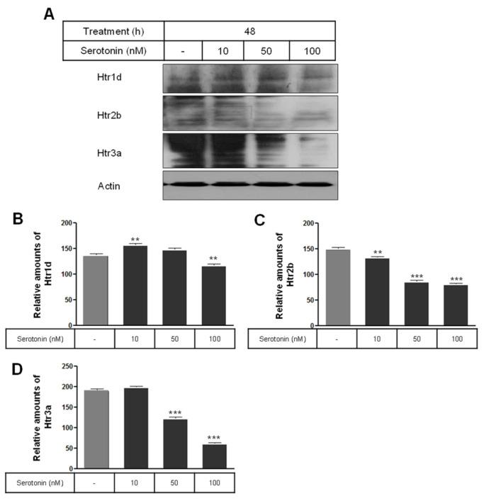 https://cdn.ncbi.nlm.nih.gov/pmc/blobs/21cd/11241493/0d3ad814be33/ijms-25-06828-g003.jpg