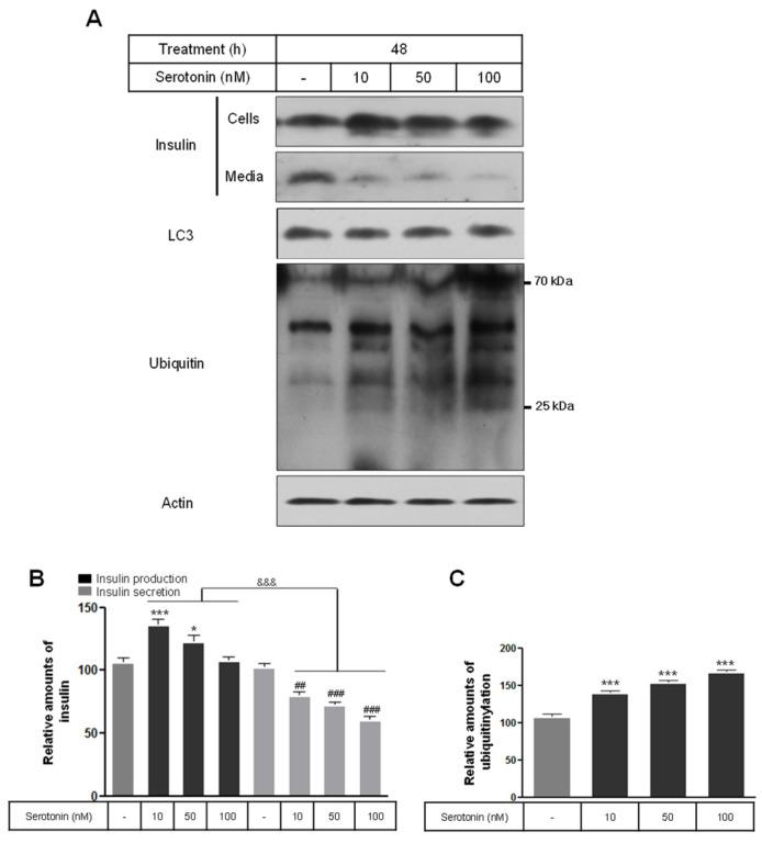https://cdn.ncbi.nlm.nih.gov/pmc/blobs/21cd/11241493/db0ddaba0c97/ijms-25-06828-g001.jpg