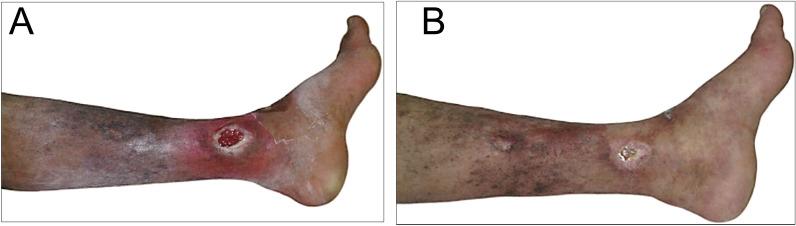 https://cdn.ncbi.nlm.nih.gov/pmc/blobs/21ce/12084939/8fbf36d4fdf2/40001_2025_2651_Fig1_HTML.jpg