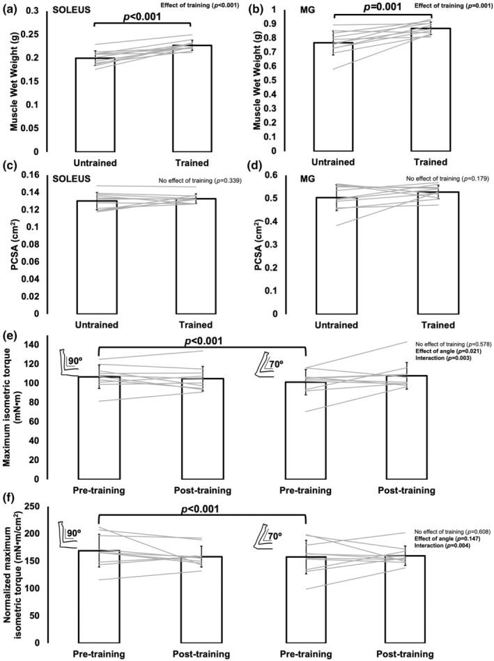 https://cdn.ncbi.nlm.nih.gov/pmc/blobs/21cf/11449626/a73205074d39/PHY2-12-e70036-g001.jpg