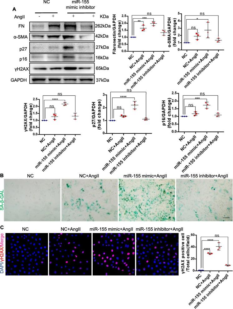 https://cdn.ncbi.nlm.nih.gov/pmc/blobs/21d0/11238407/db545cae73af/12964_2024_1708_Fig2_HTML.jpg