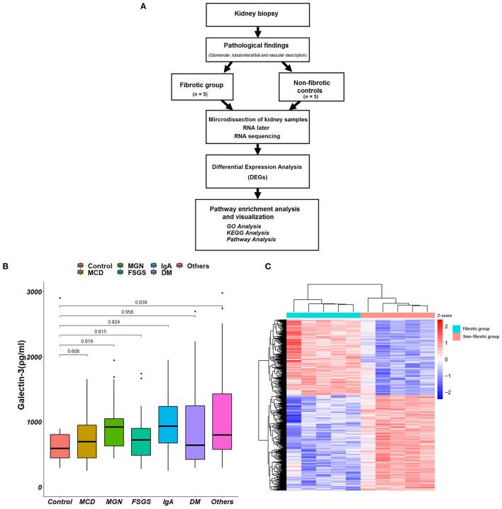 https://cdn.ncbi.nlm.nih.gov/pmc/blobs/21d1/8633540/acba54c2d0c6/fmed-08-748225-g0003.jpg