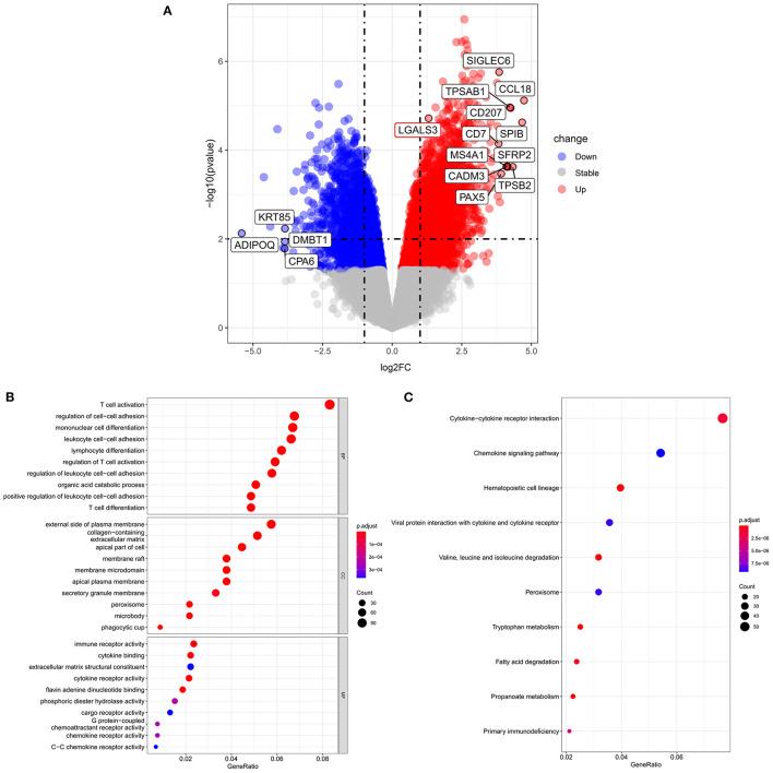 https://cdn.ncbi.nlm.nih.gov/pmc/blobs/21d1/8633540/e747f15baf12/fmed-08-748225-g0004.jpg