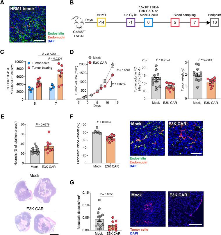 https://cdn.ncbi.nlm.nih.gov/pmc/blobs/21d2/10900351/4bfdac91c740/jitc-2023-008608f05.jpg