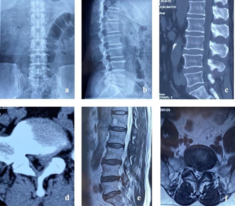 https://cdn.ncbi.nlm.nih.gov/pmc/blobs/21d3/11225279/847b14d18f23/12891_2024_7627_Fig5_HTML.jpg