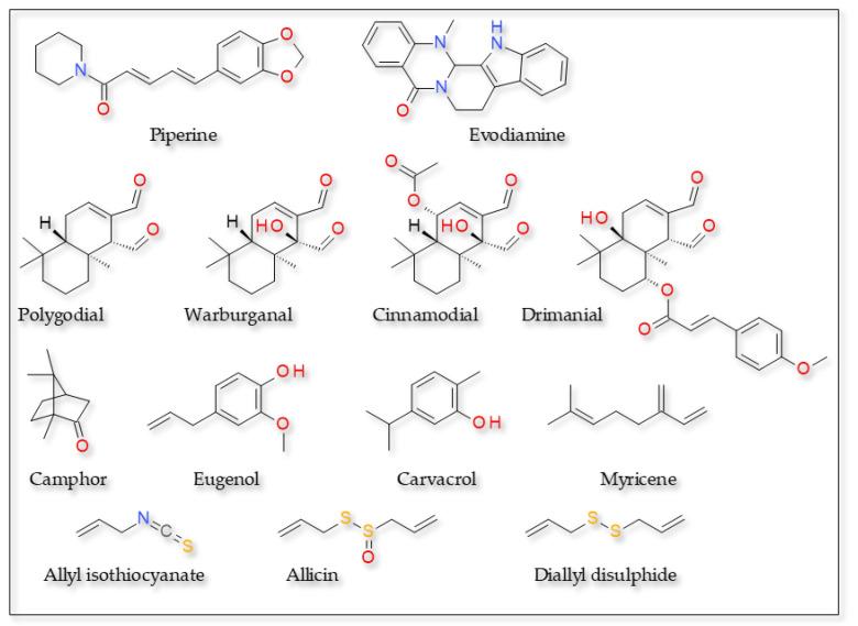 https://cdn.ncbi.nlm.nih.gov/pmc/blobs/21d4/9860573/e05ebdac4651/plants-12-00339-g003.jpg