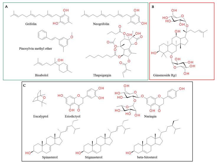 https://cdn.ncbi.nlm.nih.gov/pmc/blobs/21d4/9860573/e0daaaa30054/plants-12-00339-g004.jpg