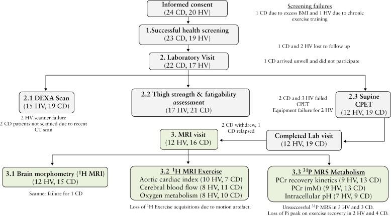 https://cdn.ncbi.nlm.nih.gov/pmc/blobs/21d6/11786219/b20af2651d22/jjae194_fig1.jpg