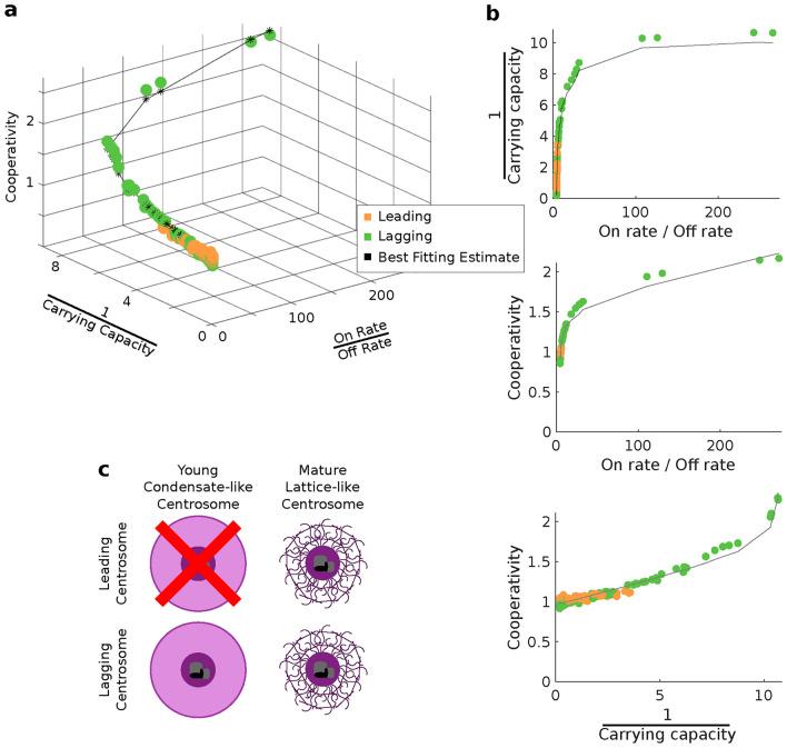 https://cdn.ncbi.nlm.nih.gov/pmc/blobs/21d9/11906807/c23d6a49942b/41598_2025_86548_Fig5_HTML.jpg