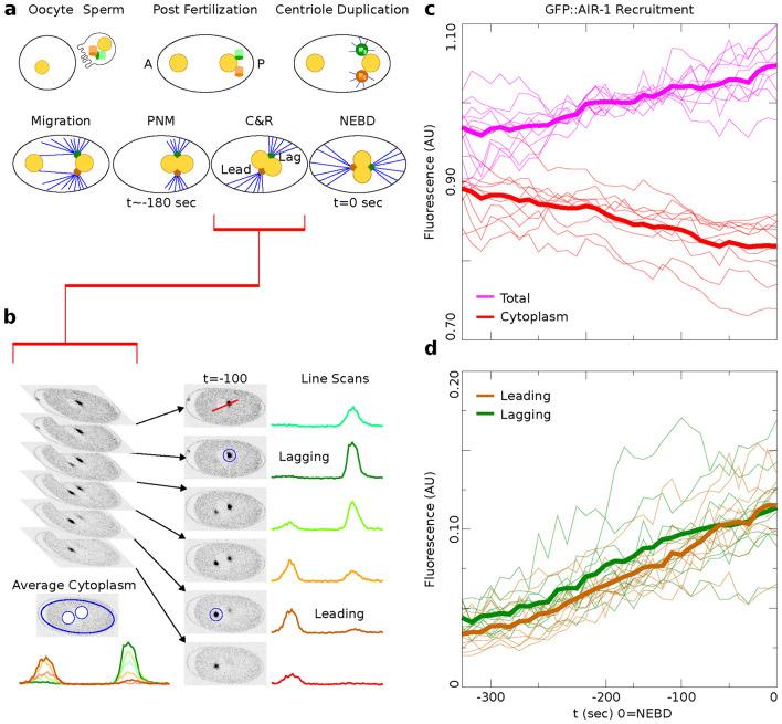 https://cdn.ncbi.nlm.nih.gov/pmc/blobs/21d9/11906807/fad39ed9d75d/41598_2025_86548_Fig2_HTML.jpg