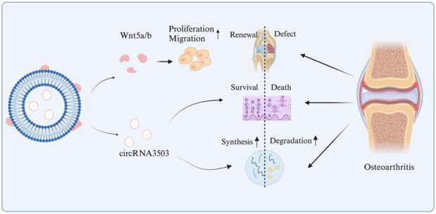 https://cdn.ncbi.nlm.nih.gov/pmc/blobs/21da/11979253/925210175e40/fbioe-13-1522303-g004.jpg